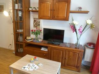 Luchon: Appartement 2 chambres proche thermes, balcon, parking, WiFi - Animaux <10kg acceptés - FR-1-313-186 - 1