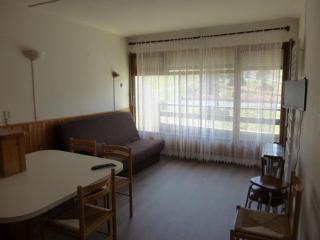 Appartement 6 personnes avec balcon, parking, accès pistes - FR-1-602-28 - Arette - 2