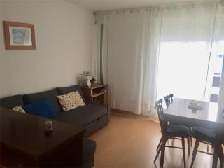 Studio 6 pers, vue pistes, accès direct, balcon, pkgs gratuits - FR-1-602-66 - Arette - 0