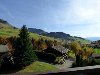 Chaleureux Studio pour 4 au Chinaillon, Balcon, Proche Skibus et Commerces - FR-1-458-89 - Le Grand-Bornand - 5