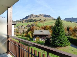 Chaleureux Studio pour 4 au Chinaillon, Balcon, Proche Skibus et Commerces - FR-1-458-89 - Le Grand-Bornand - 2