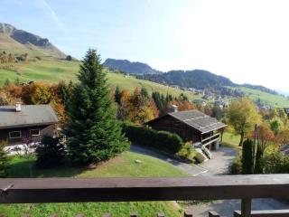 Chaleureux Studio pour 4 au Chinaillon, Balcon, Proche Skibus et Commerces - FR-1-458-89 - Le Grand-Bornand - 1
