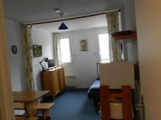 Studio cosy à 200m des pistes avec cuisine équipée - FR-1-557A-37 - La Ferrière - 3