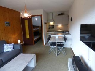 Studio confortable 25m² pour 4 personnes au Chinaillon - FR-1-458-113 - Le Grand-Bornand - 7