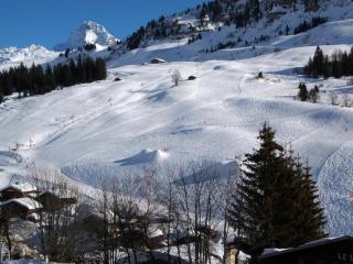 Agréable studio + coin montagne pour 4 personnes, quartier calme, balcon et parking - FR-1-458-111 - Le Grand-Bornand - 2