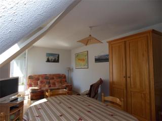 Luchon - Duplex 6 pers, Balcon Sud, Parking, Animaux admis - FR-1-313-161 - Luchon - 3
