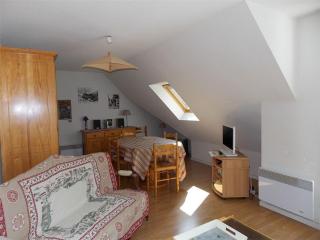 Luchon - Duplex 6 pers, Balcon Sud, Parking, Animaux admis - FR-1-313-161 - Luchon - 0