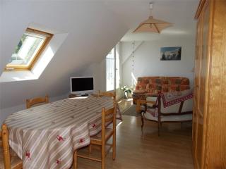 Luchon - Duplex 6 pers, Balcon Sud, Parking, Animaux admis - FR-1-313-161 - Luchon - 1