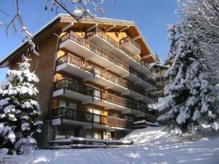 Charmant T3 avec balcon, ascenseur et piscine en été, proche pistes et centre, idéal pour 6 pers. - FR-1-180-565 - Les Allues - 5