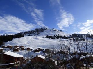 Appartement confortable 40m² pour 6 pers. proche pistes de ski, grande terrasse - FR-1-458-93 - Le Grand-Bornand - 4