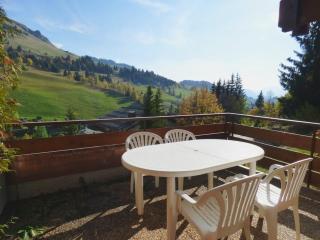 Appartement confortable 40m² pour 6 pers. proche pistes de ski, grande terrasse - FR-1-458-93 - Le Grand-Bornand - 3