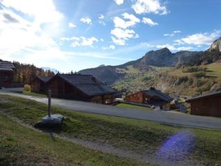 Charmant appartement au pied des pistes - 41m² - 6 pers - Ambiance Montagne - Garage fermé inclus - FR-1-458-109 - Le Grand-Bornand - 7