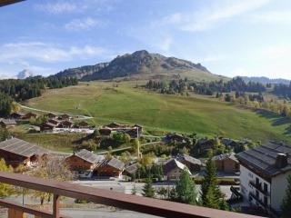 Lumineux studio savoyard avec balcon exposé SUD - FR-1-458-114 - 6