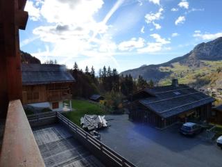Charmant appartement au pied des pistes - 41m² - 6 pers - Ambiance Montagne - Garage fermé inclus - FR-1-458-109 - Le Grand-Bornand - 3