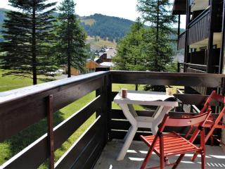 Studio charmant au pied des pistes, balcon sud, parking gratuit, animaux acceptés ! - FR-1-330-513 - 1