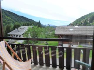 Studio convivial avec cabine, balcon, proche des commodités - Le Grand-Bornand - FR-1-458-117 - Le Grand-Bornand - 5