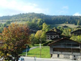 Studio convivial avec cabine, balcon, proche des commodités - Le Grand-Bornand - FR-1-458-117 - Le Grand-Bornand - 3
