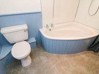 1A Lower Croft Street - 1