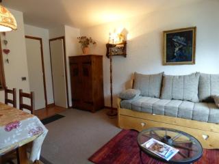 Studio confortable pour 4 personnes au Grand-Bornand - FR-1-458-123 - Le Grand-Bornand - 7