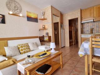 Studio au pied des pistes pour 4 avec Wifi, parking et animaux admis - FR-1-525-181 - Le Dévoluy - 8