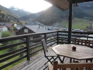 Chalet cosy 11 pers avec wifi, lave-vaisselle & lave-linge - FR-1-342-229 - 2