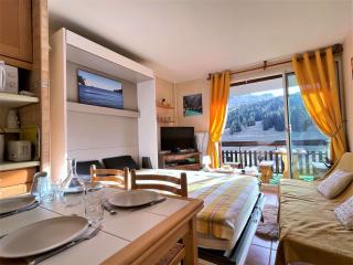 Studio au pied des pistes pour 4 avec Wifi, parking et animaux admis - FR-1-525-181 - Le Dévoluy - 1