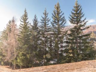 Appartement familial 3 pièces, 8 couchages, proche des pistes à Serre-Chevalier, balcon sud. - FR-1-330E-122 - Saint-Chaffrey - 7