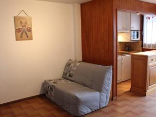 Studio cosy avec coin montagne, balcon, à 100m des pistes et 10m des commerces à Vars Les Claux - FR-1-330B-184 - 3