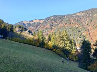 Studio cosy avec accès direct aux pistes à Saint-Jean-d'Aulps - FR-1-573-48 - 3