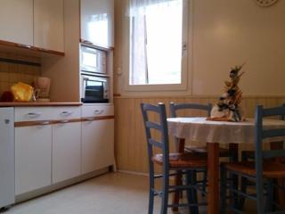 Studio ski, 4 pers, parking gratuit, proche pistes - FR-1-602-97 - Arette - 0