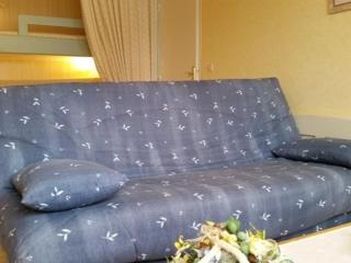 Studio ski, 4 pers, parking gratuit, proche pistes - FR-1-602-97 - Arette - 7