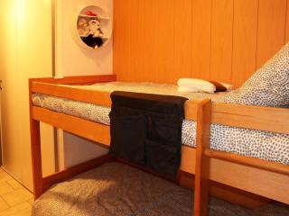 Studio équipé pour 4 au pied des pistes, balcon, animaux admis - FR-1-322-467 - 9