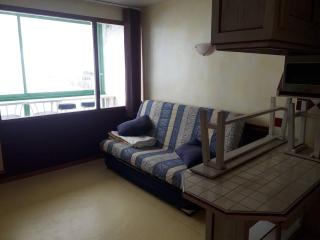Studio lumineux pour 4 pers., proche des pistes, exposé Sud - FR-1-602-103 - Arette - 0