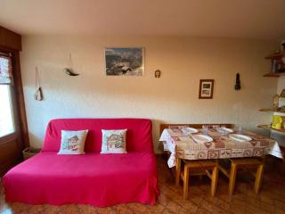 Studio confortable au centre du Chinaillon, proche commerces et pistes, avec ménage inclus - FR-1-241-239 - Le Grand-Bornand - 8