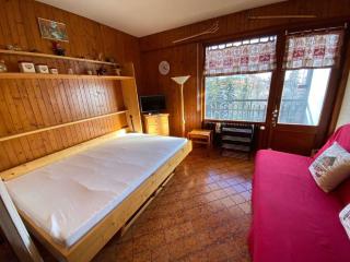Studio confortable au centre du Chinaillon, proche commerces et pistes, avec ménage inclus - FR-1-241-239 - Le Grand-Bornand - 6
