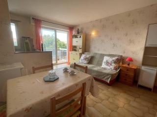 Studio cabine à 2 pas de la plage, parking et animaux admis - FR-1-225D-142 - Saint-Cyprien - 9