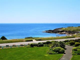 Quiberon - Appartement 2 pièces - 65m² - Vue mer - Animaux admis - FR-1-478-36 - Quiberon - 0
