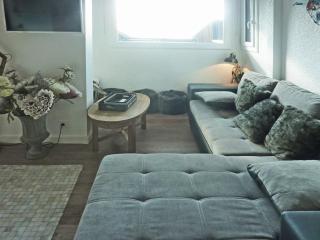 Superbe appart rénové pour 8 pers, skis aux pieds, terrasse Sud/Ouest, proche centre station - FR-1-322-355 - Les Orres - 6