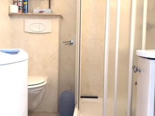 Appart climatisé 3 étoiles proche Thermes et étang, animaux admis - FR-1-503-26 - 9