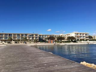 Bel appartement lumineux avec balcon, proche Thermes, 1 chambre, animaux admis, WIFI - FR-1-503-72 - Balaruc-les-Bains - 1