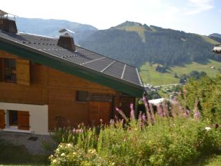 Demi chalet tout confort, proche pistes, balcon, 2ch/1sdb - FR-1-505-59 - Notre-Dame-de-Bellecombe - 9