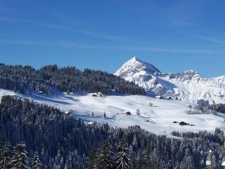 Charmant studio au pied des pistes, animaux admis - FR-1-505-79 - Notre-Dame-de-Bellecombe - 5