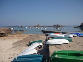 Appartement avec accès direct plage, WiFi, animaux acceptés et parking privé à Trégastel - FR-1-542-5 - 3