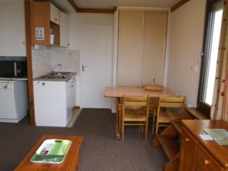 Studio cabine au pied des pistes avec balcon et terrasse - FR-1-557-21 - Les Adrets - 0