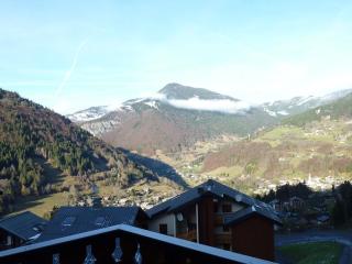 Appartement cosy 6 pers. proche pistes avec balcon, casier à skis et parking couvert - FR-1-573-32 - Saint-Jean-dʼAulps - 1