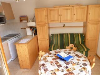 Charmant 2 pièces avec balcon, départ des randonnées, parking et ascenseur - FR-1-573-33 - Bonnevaux - 9
