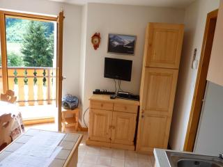 Charmant 2 pièces avec balcon, départ des randonnées, parking et ascenseur - FR-1-573-33 - Bonnevaux - 2