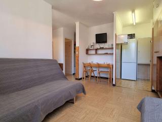 Studio confortable, accès pistes à 50m, parking gratuit, navette proche - FR-1-525-208 - Le Dévoluy - 1