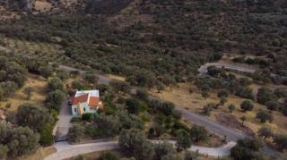 Villa Christina Anidri - Ánidhroi - 8