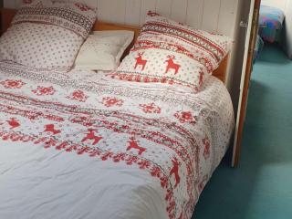 Duplex 6/7 personnes, centre ville, proche télécabine - FR-1-234-278 - 4